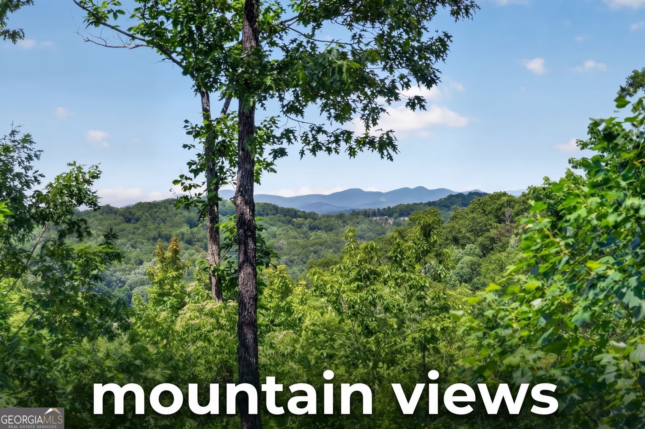 3 bedroom, 3 bathroom, 2,340 sq ft cabin,single family residence for sale at 573 Weaver Creek Way, Blue Ridge, GA 30513 — photo 2