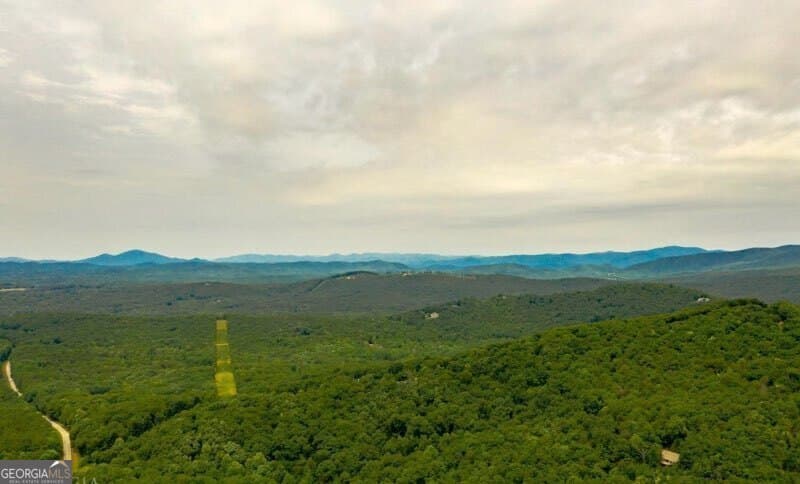 residential lot for sale at 0 Holland Pippin Drive, Clarkesville, GA 30523 — photo 3