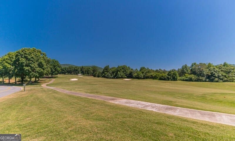 residential lot for sale at 0 Holland Pippin Drive, Clarkesville, GA 30523 — photo 10