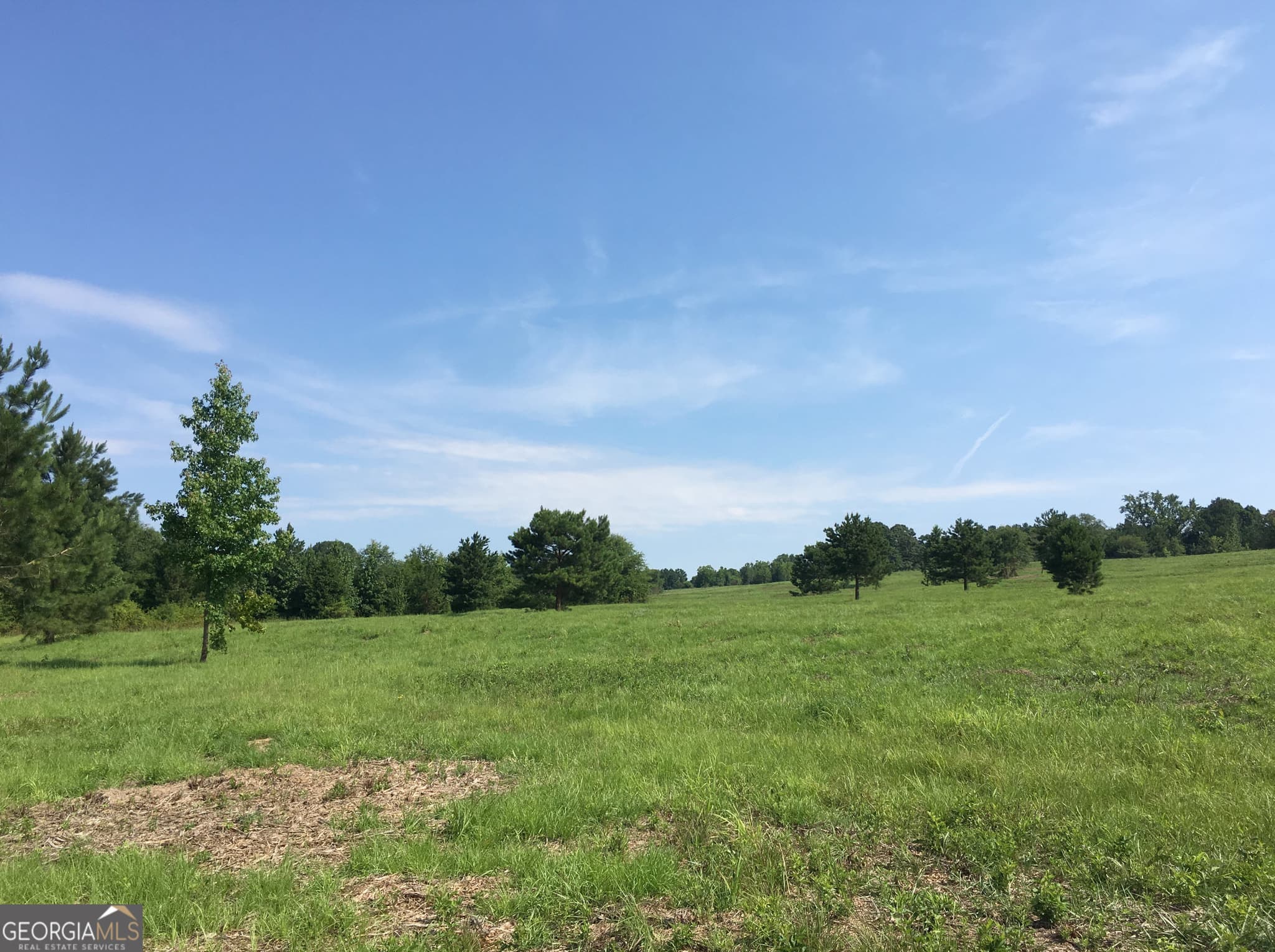unimproved land for sale at 3031 Highway 138, Conyers, GA 30013 — photo 3