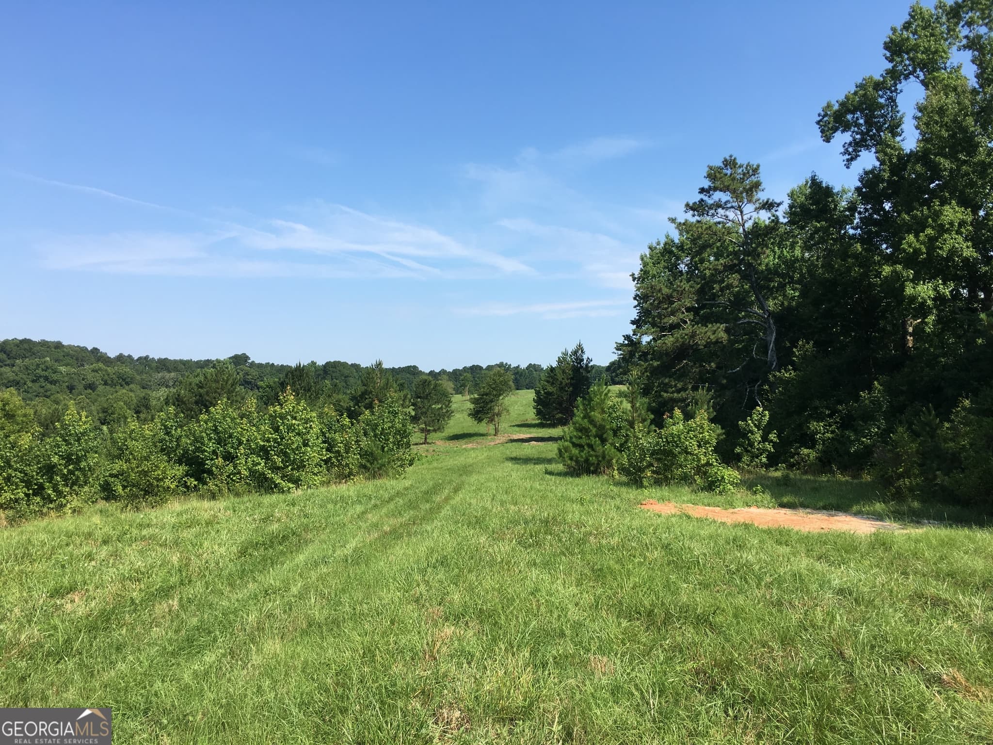 unimproved land for sale at 3031 Highway 138, Conyers, GA 30013 — photo 5