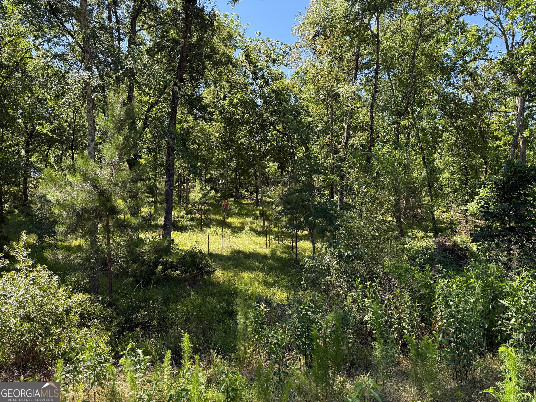 agriculture for sale at 4979 Augusta Highway, Lincolnton, GA 30817 — photo 7