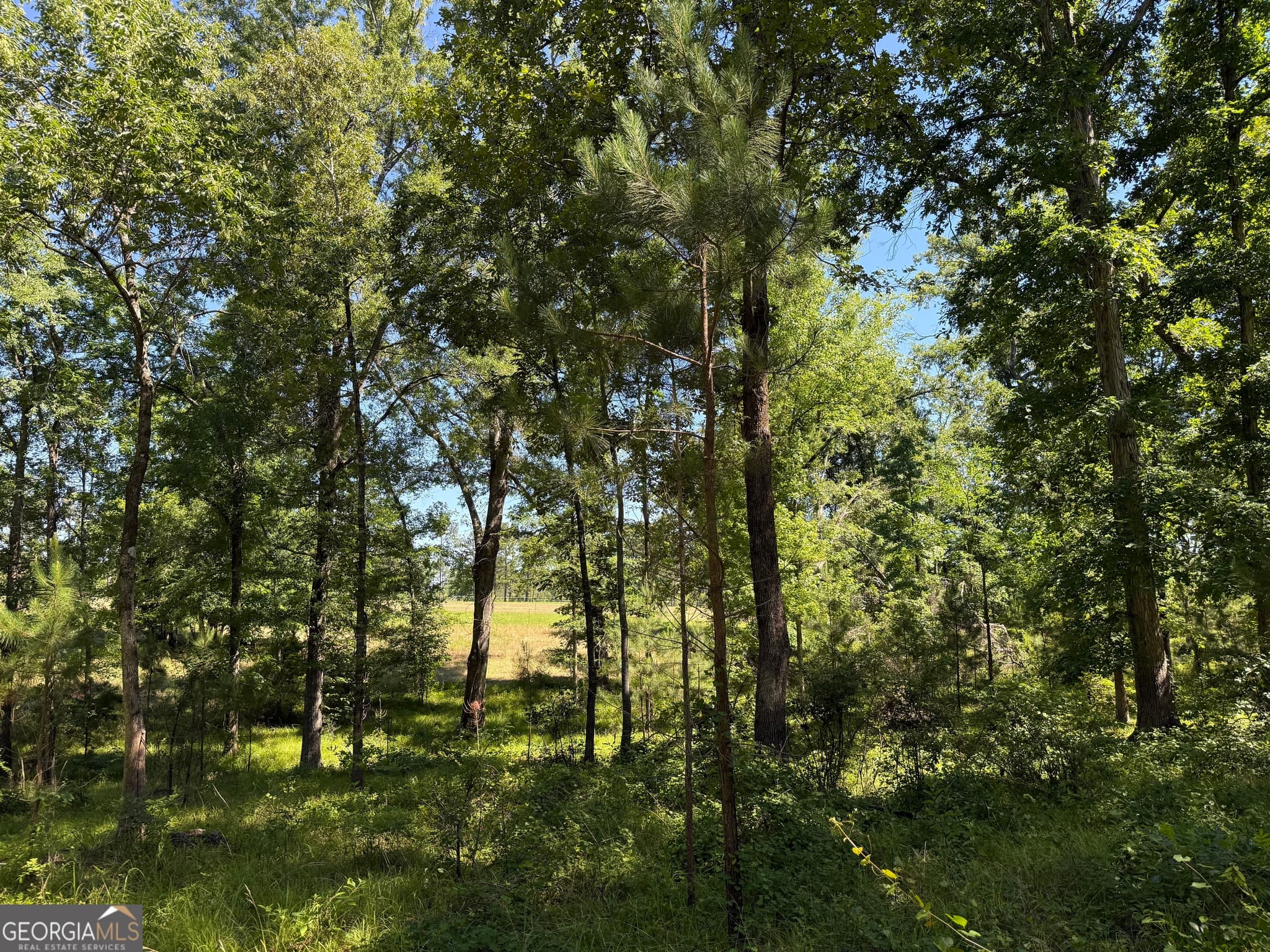 agriculture for sale at 4979 Augusta Highway, Lincolnton, GA 30817 — photo 3