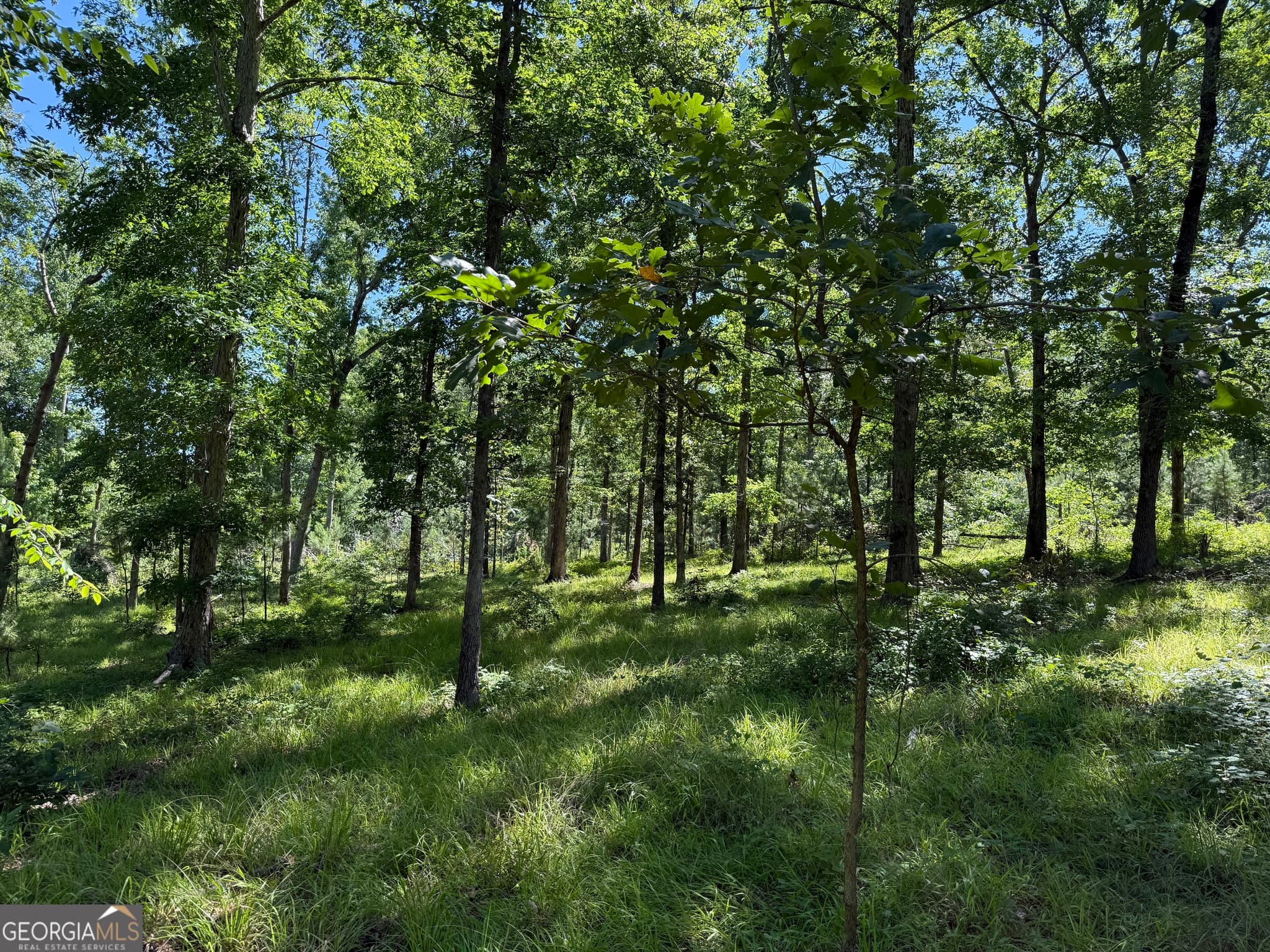 agriculture for sale at 4979 Augusta Highway, Lincolnton, GA 30817 — photo 5