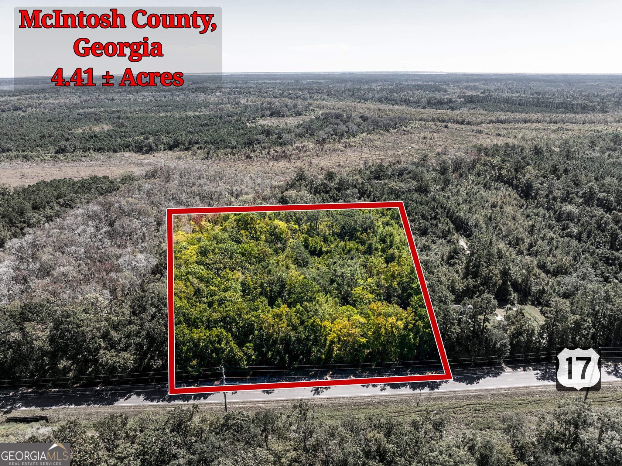 agriculture sold at 4.41 ACRES Highway 17, Townsend, GA 31331
