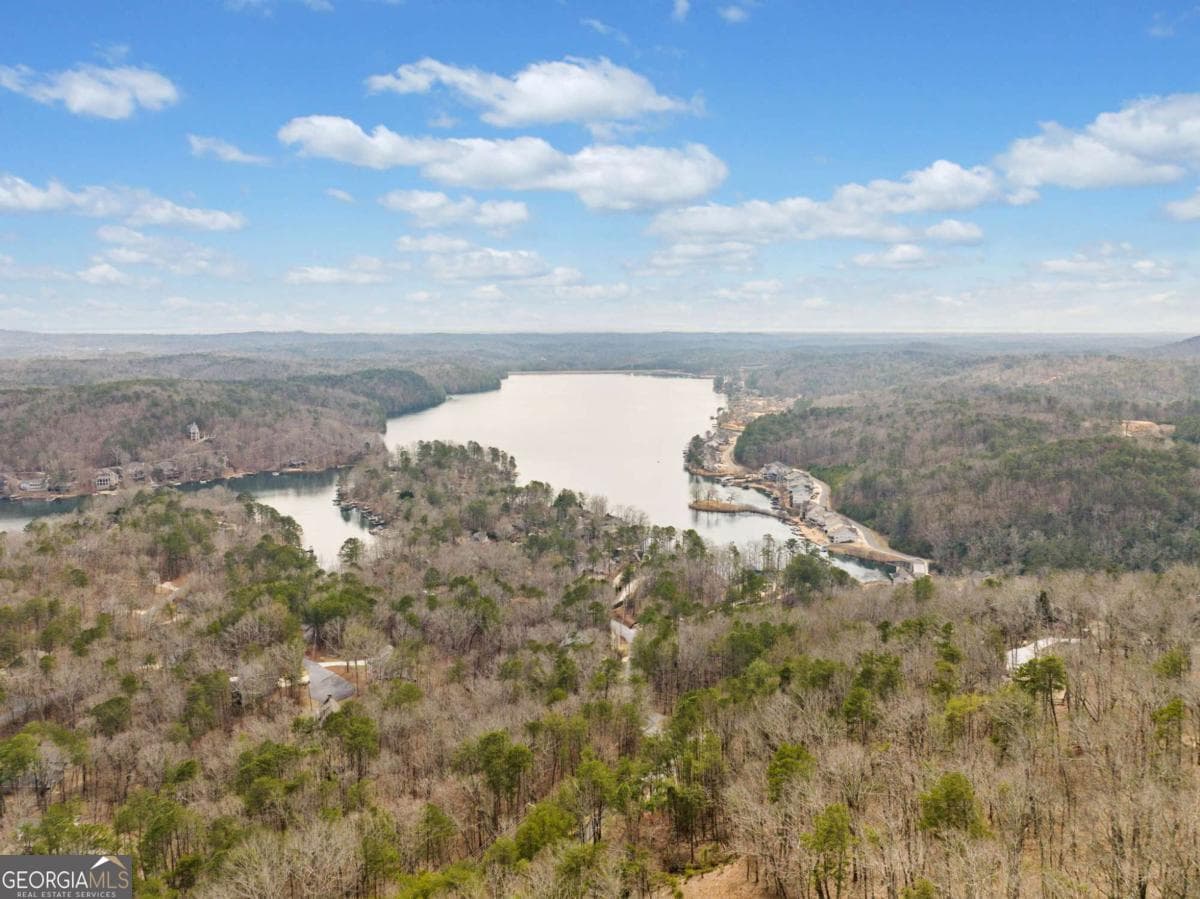 residential lot for sale at 166 Ponderosa Lane, Waleska, GA 30183 — photo 2