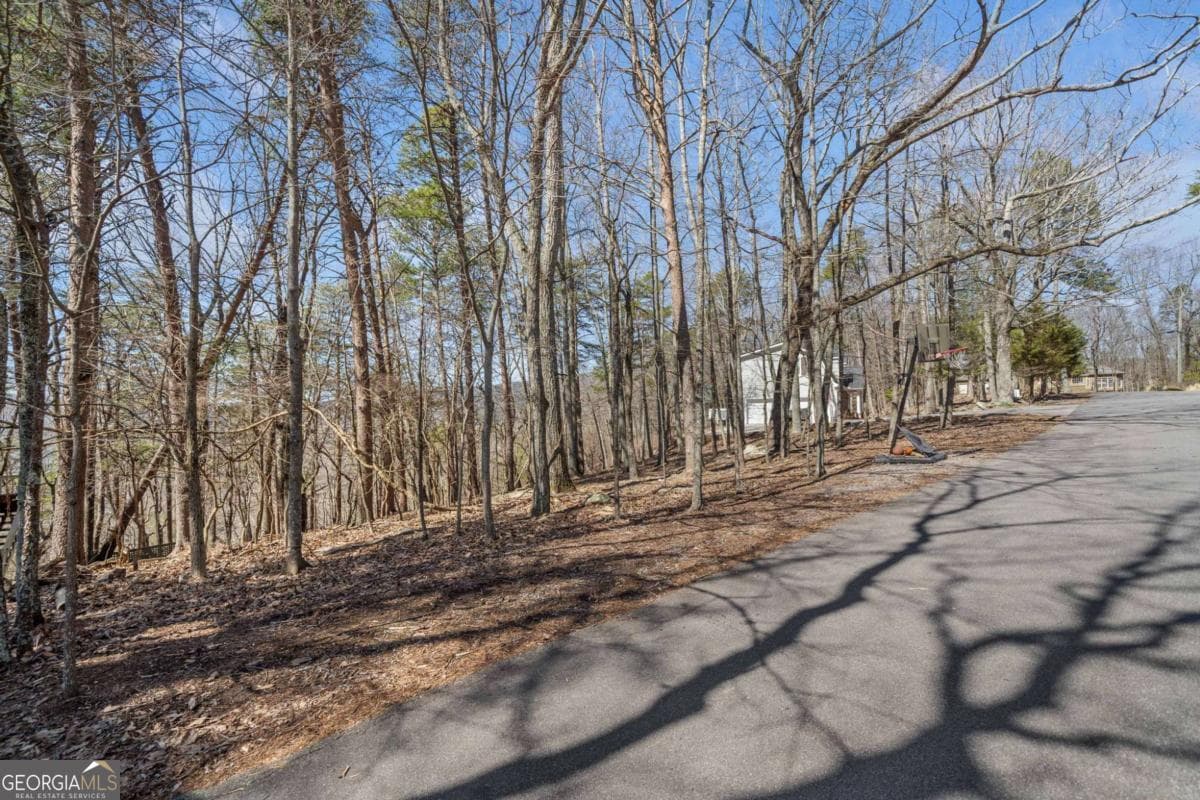 residential lot for sale at 166 Ponderosa Lane, Waleska, GA 30183 — photo 6