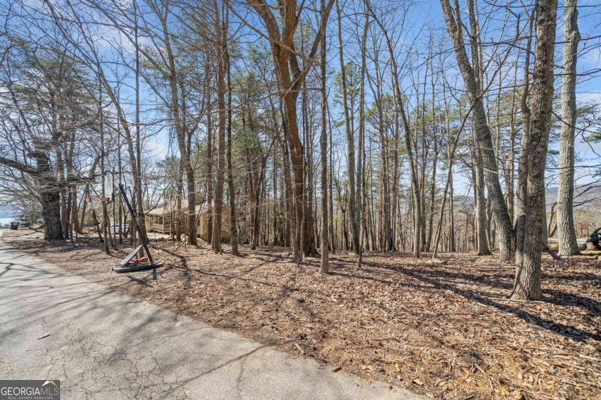 residential lot for sale at 166 Ponderosa Lane, Waleska, GA 30183 — photo 7