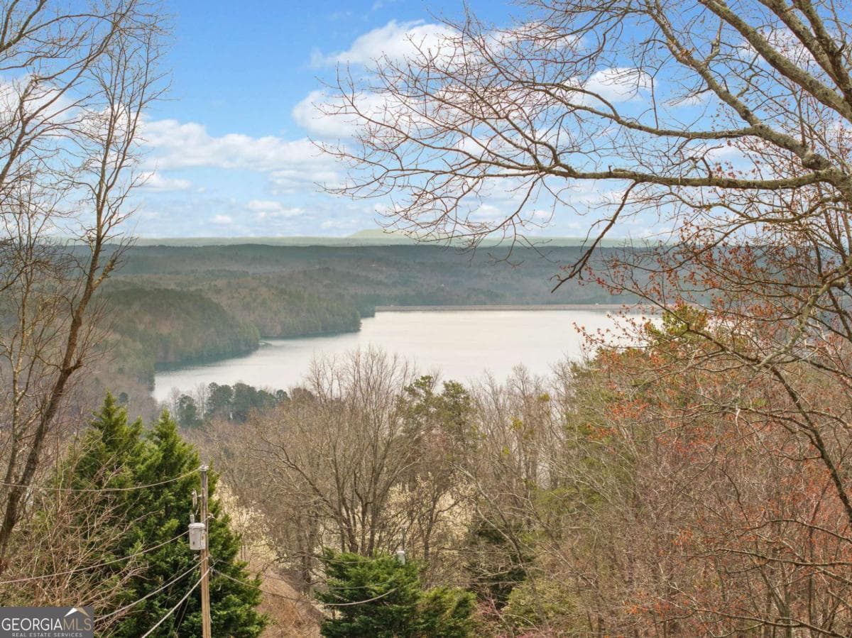 residential lot for sale at 166 Ponderosa Lane, Waleska, GA 30183 — photo 3