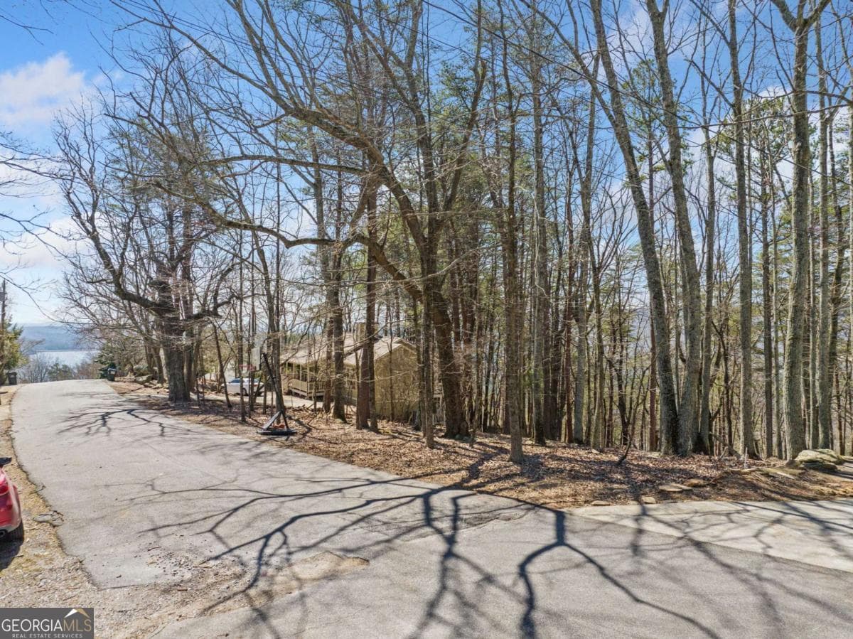 residential lot for sale at 166 Ponderosa Lane, Waleska, GA 30183 — photo 5