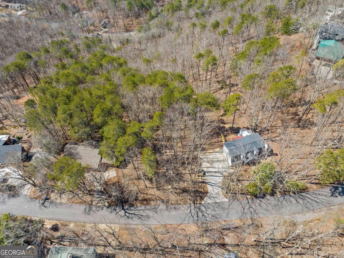 residential lot for sale at 166 Ponderosa Lane, Waleska, GA 30183 — photo 8