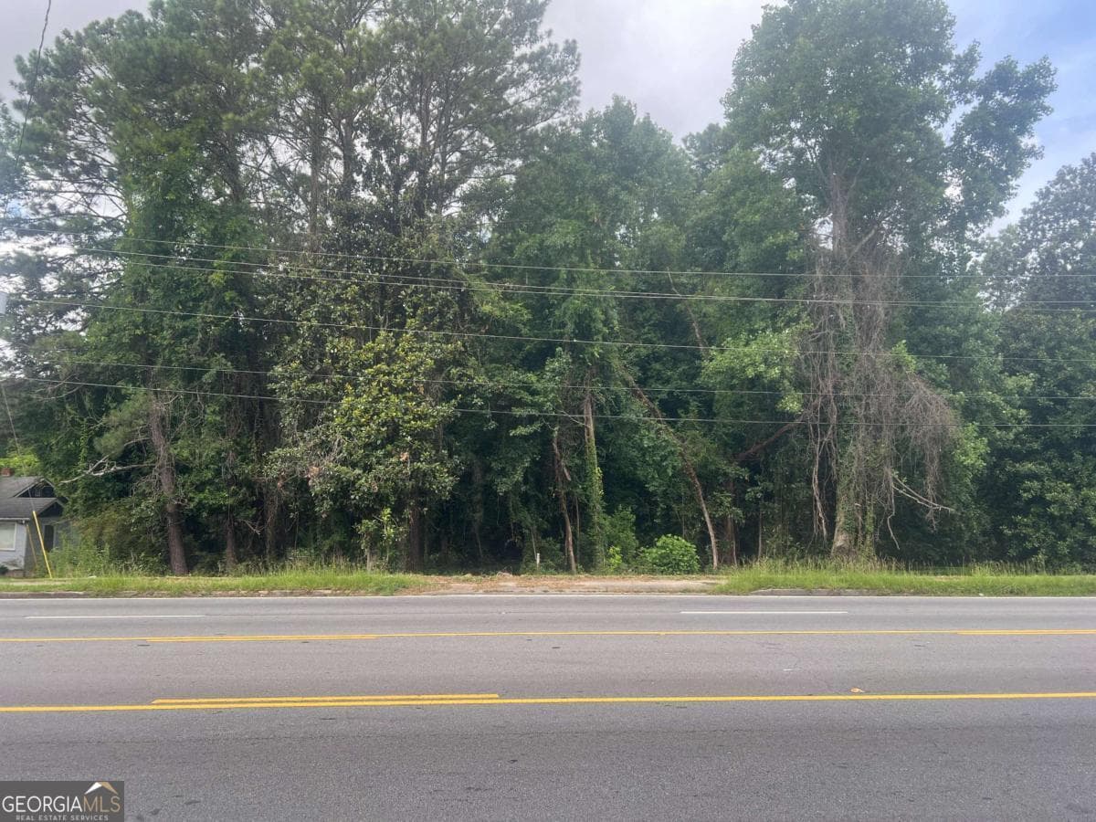 unimproved land for sale at 5547 Jonesboro Road, Morrow, GA 30260 — photo 6