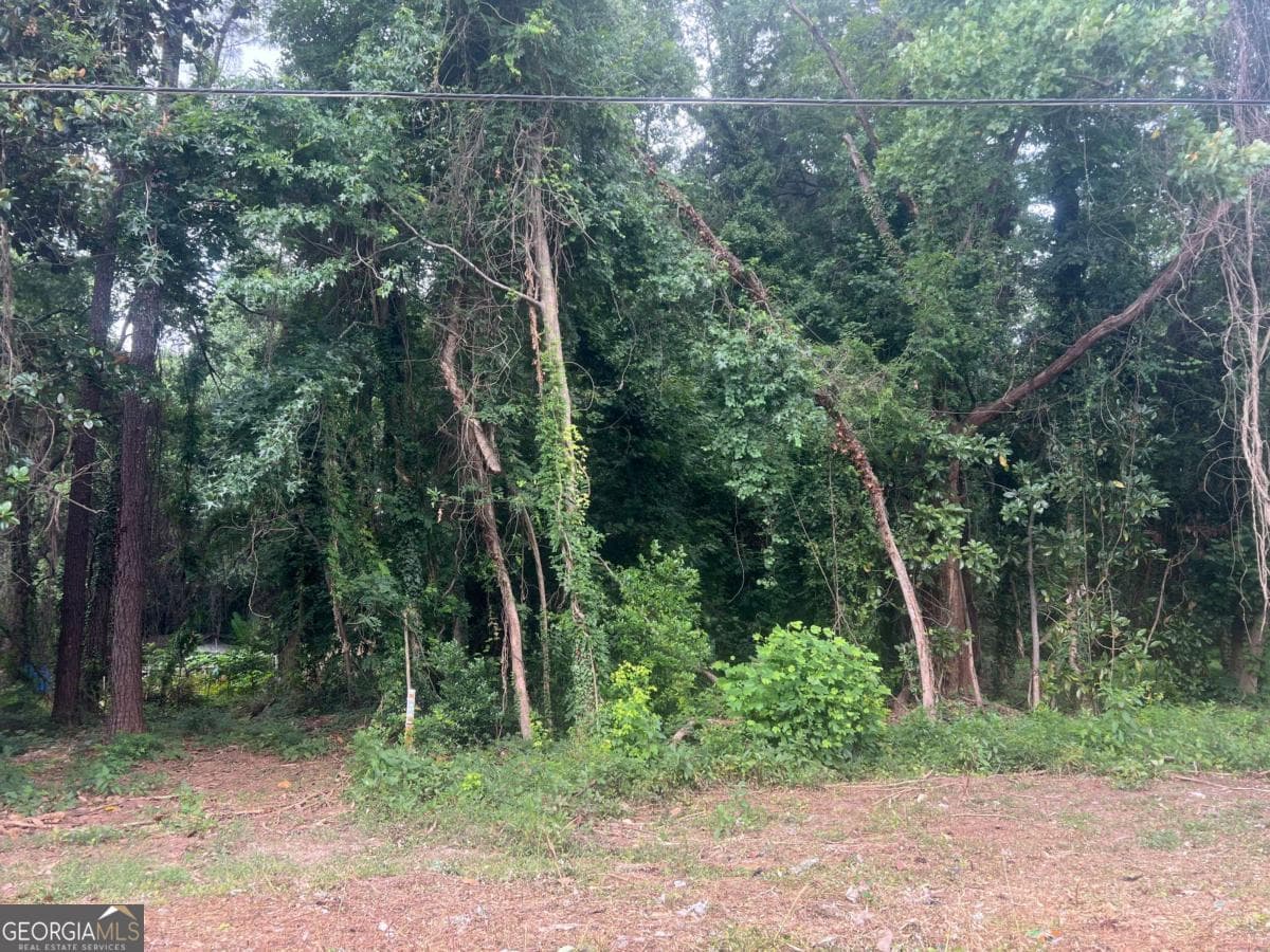 unimproved land for sale at 5547 Jonesboro Road, Morrow, GA 30260 — photo 7