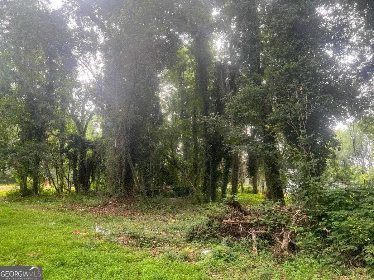 unimproved land for sale at 5547 Jonesboro Road, Morrow, GA 30260 — photo 9