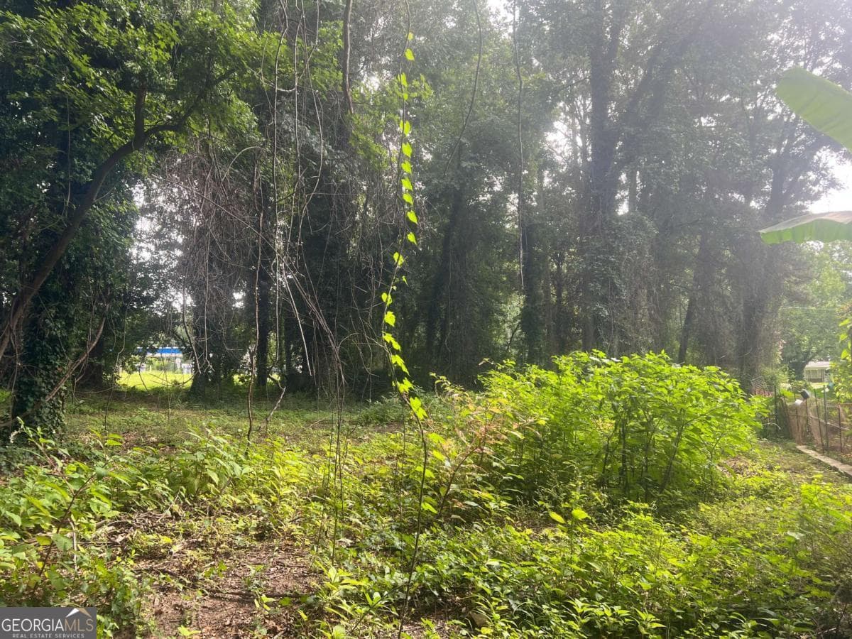 unimproved land for sale at 5547 Jonesboro Road, Morrow, GA 30260 — photo 10