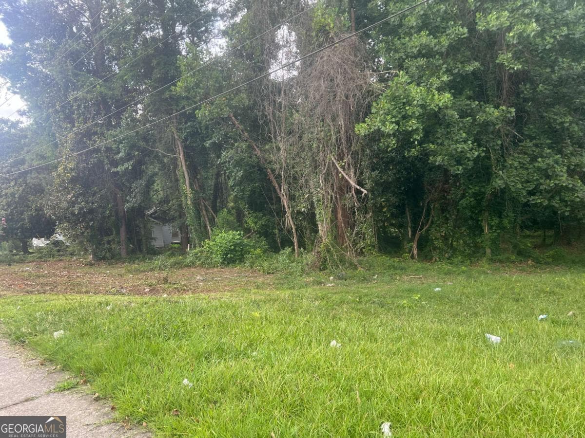 unimproved land for sale at 5547 Jonesboro Road, Morrow, GA 30260 — photo 8