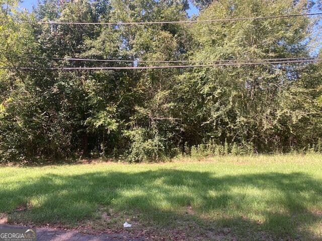 residential lot for sale at 1331 South Jefferson Street, Milledgeville, GA 31061 — photo 3