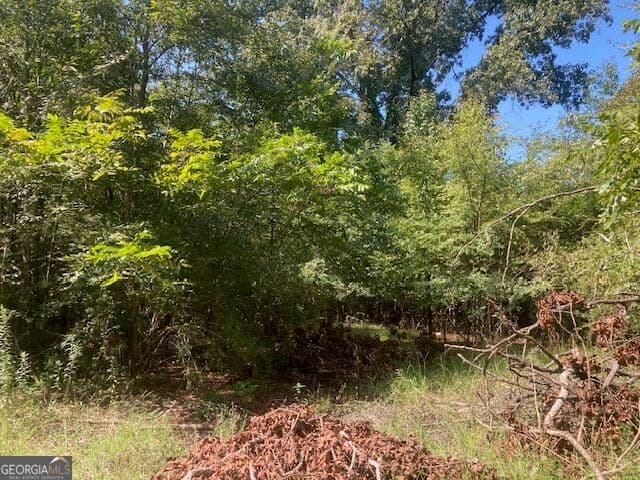 residential lot for sale at 1331 South Jefferson Street, Milledgeville, GA 31061 — photo 4