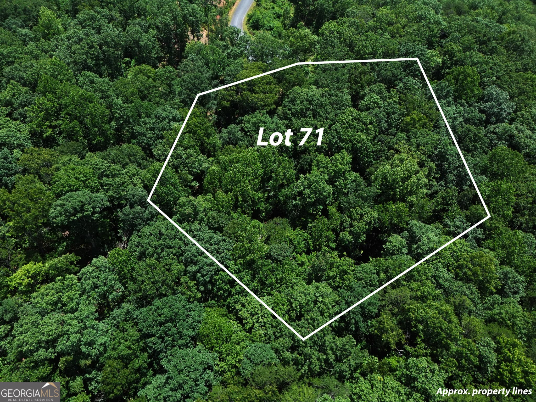 residential lot for sale at LT 71 High Summit, Talking Rock, GA 30175 — photo 2
