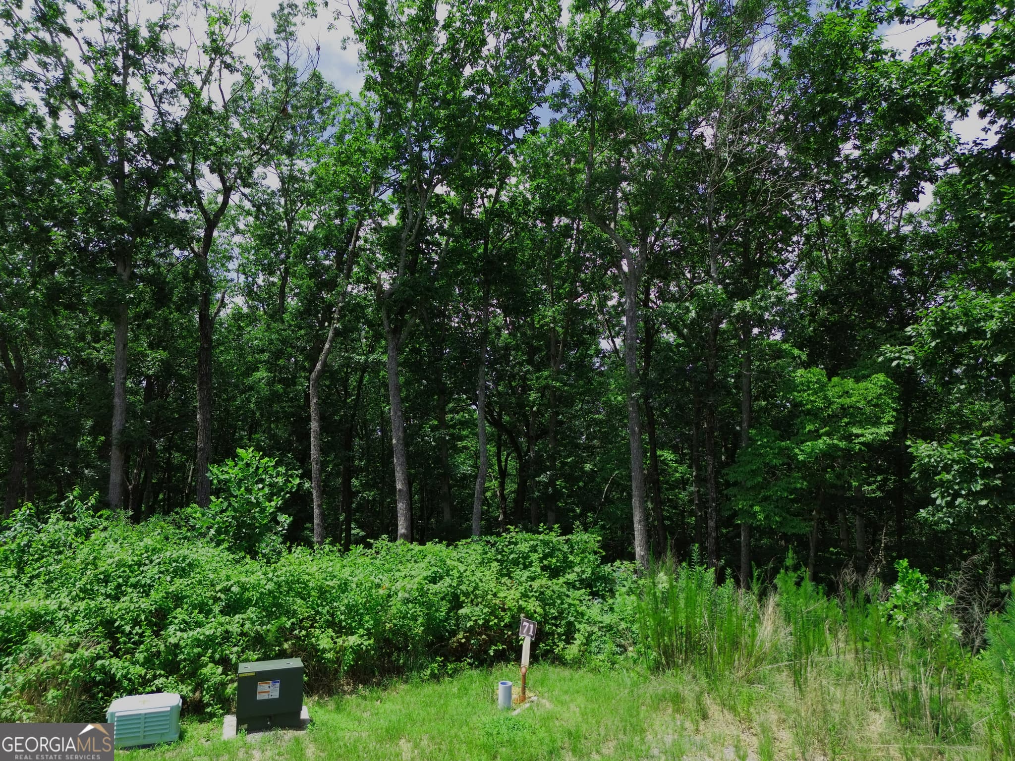 residential lot for sale at LT 71 High Summit, Talking Rock, GA 30175 — photo 5