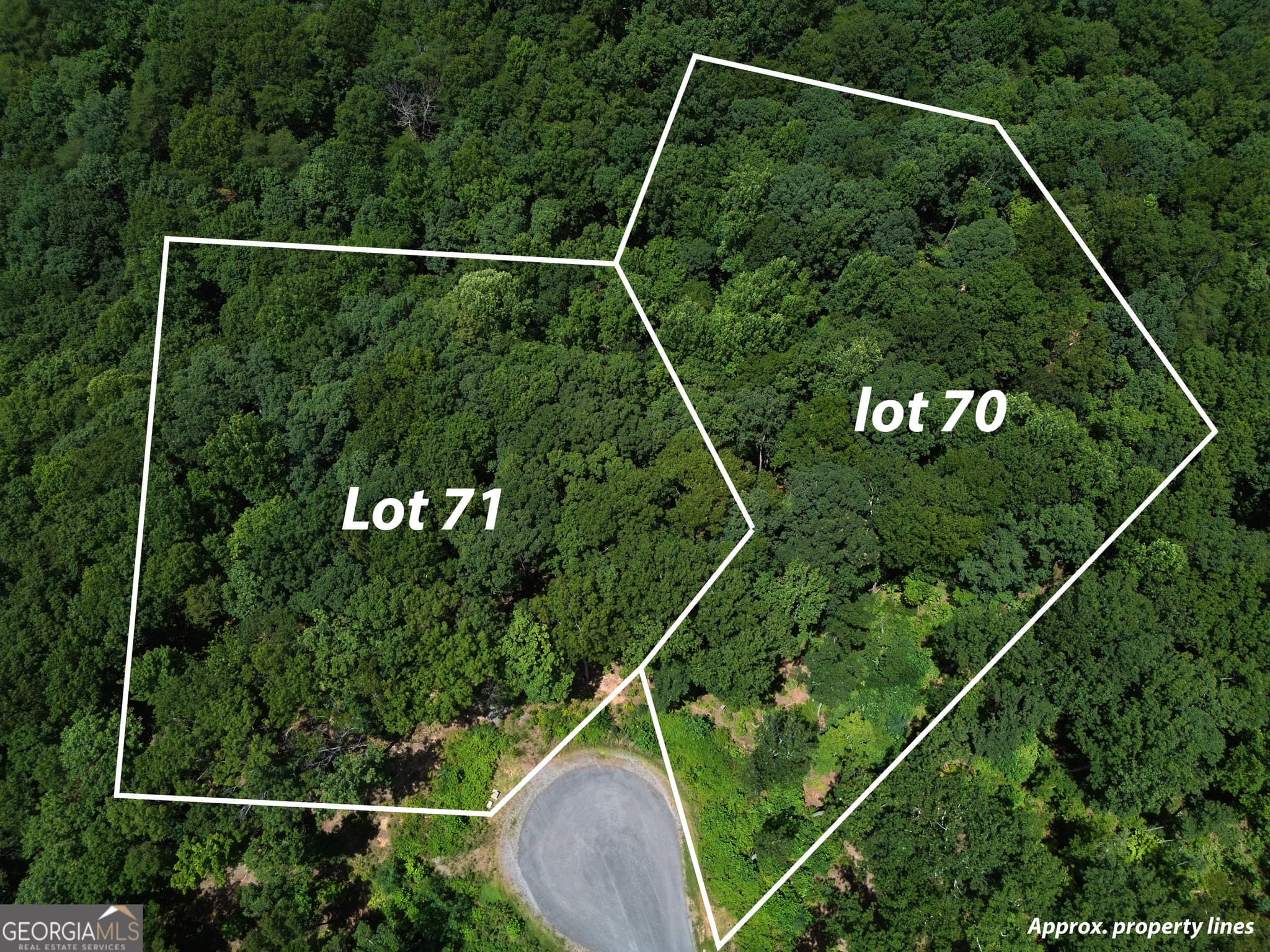 residential lot for sale at LT 71 High Summit, Talking Rock, GA 30175 — photo 4
