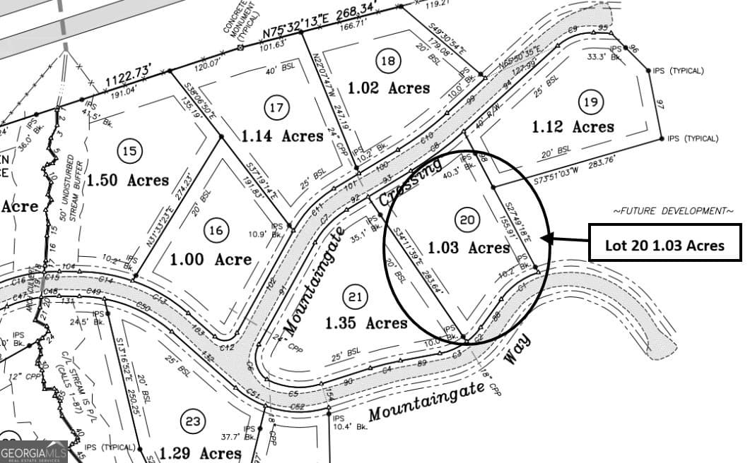 residential lot for sale at LOT 20 Mountaingate Crossing, Ellijay, GA 30540 — photo 2