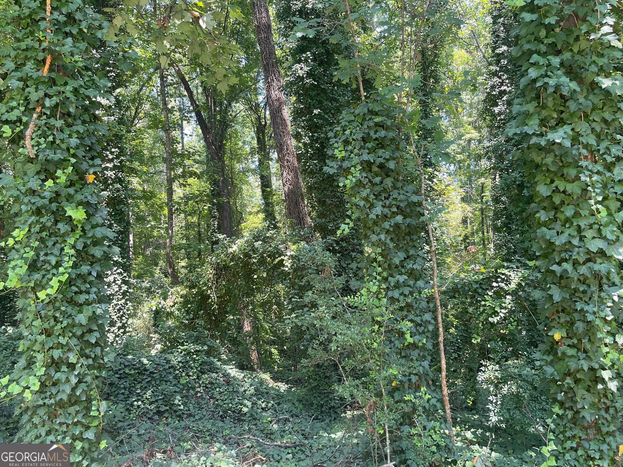 unimproved land for sale at 2970 Jodeco Terrace, Jonesboro, GA 30236 — photo 5