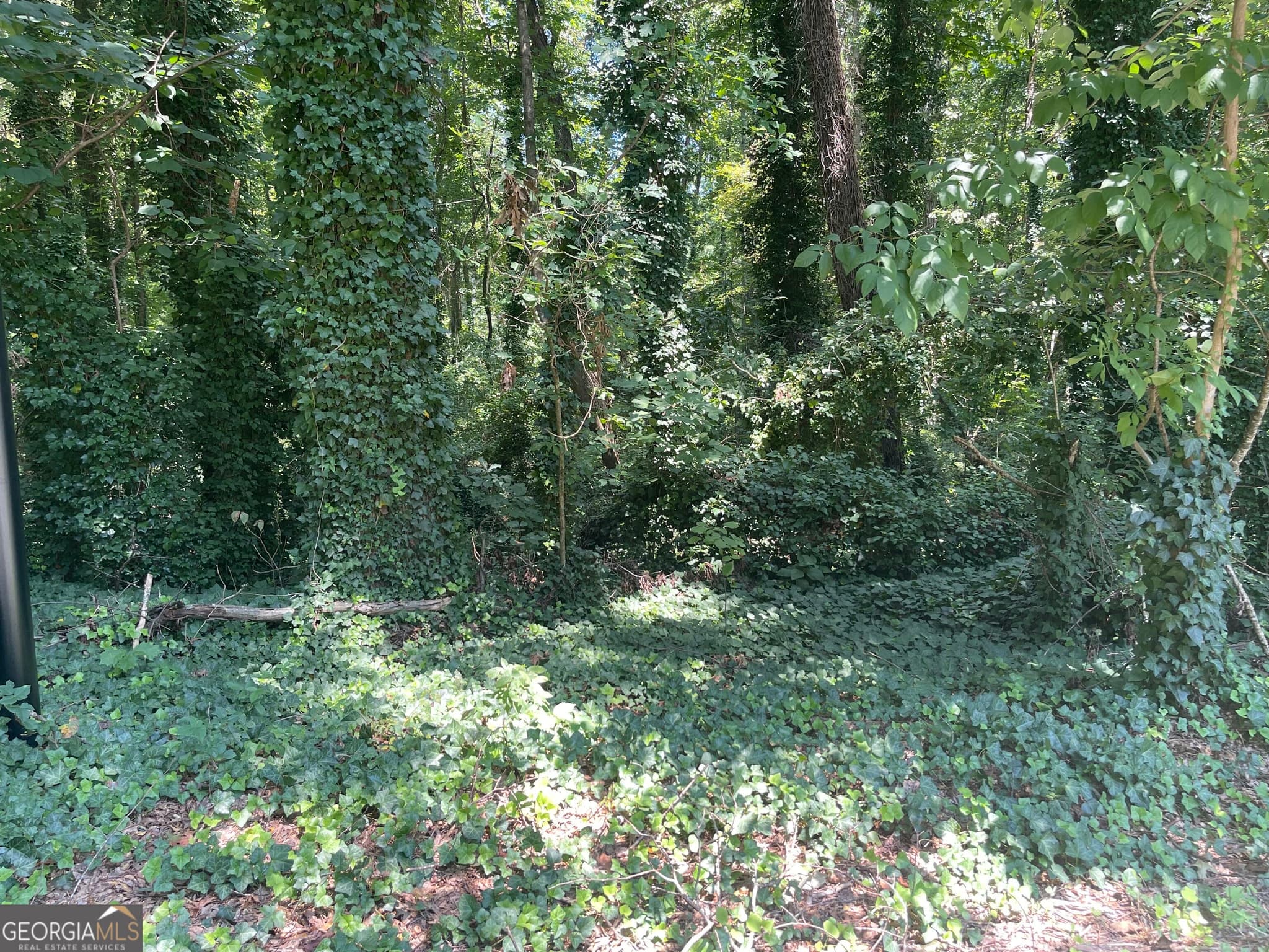 unimproved land for sale at 2970 Jodeco Terrace, Jonesboro, GA 30236 — photo 4
