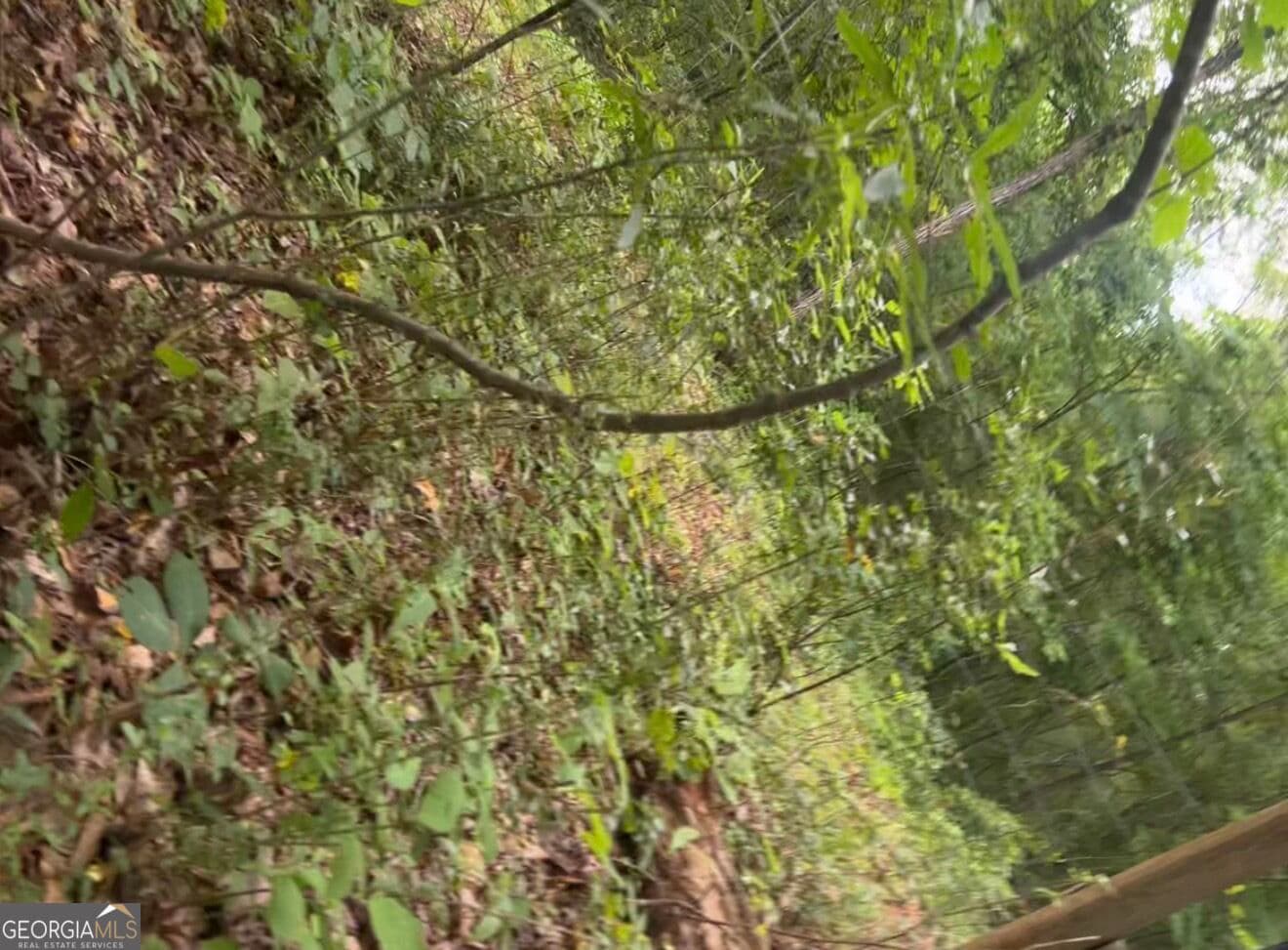 residential lot for sale at 0 Edna Circle, Thomaston, GA 30286 — photo 2