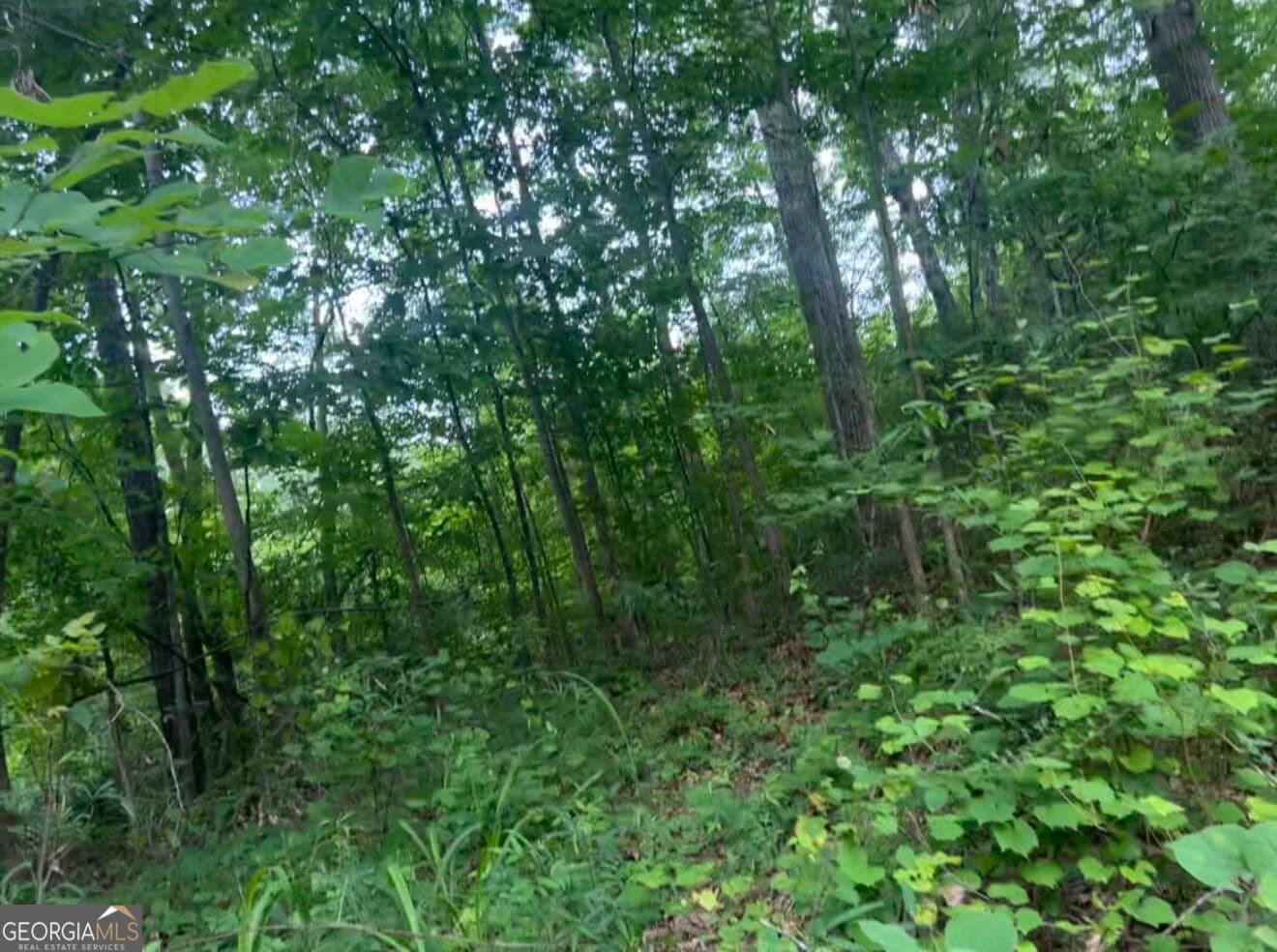 residential lot for sale at 0 Edna Circle, Thomaston, GA 30286 — photo 3
