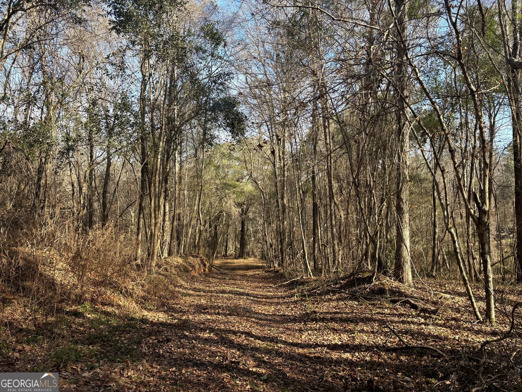 unimproved land for sale at 6411 Columbus Road, Lizella, GA 31052 — photo 2