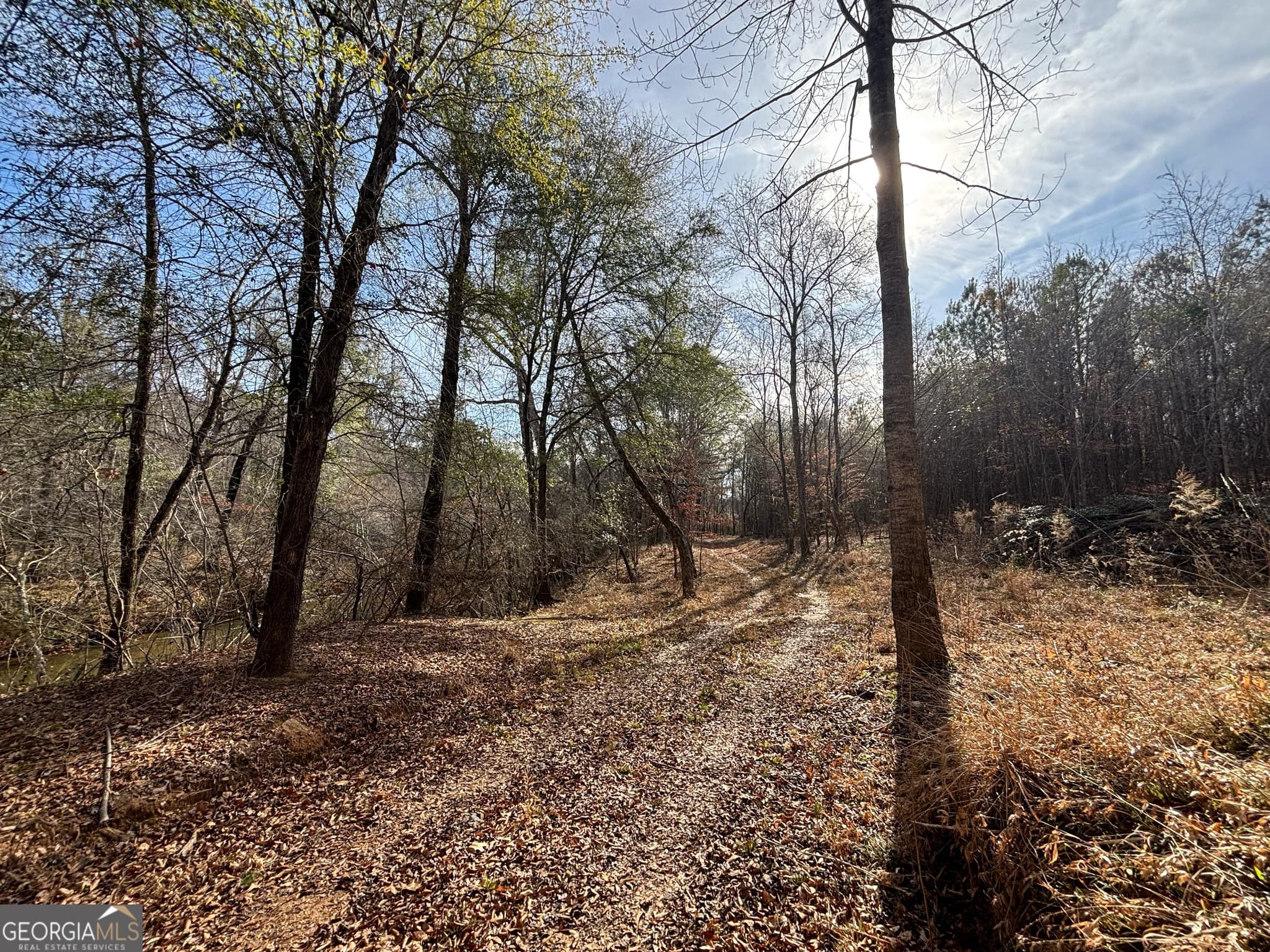 unimproved land for sale at 6411 Columbus Road, Lizella, GA 31052 — photo 6