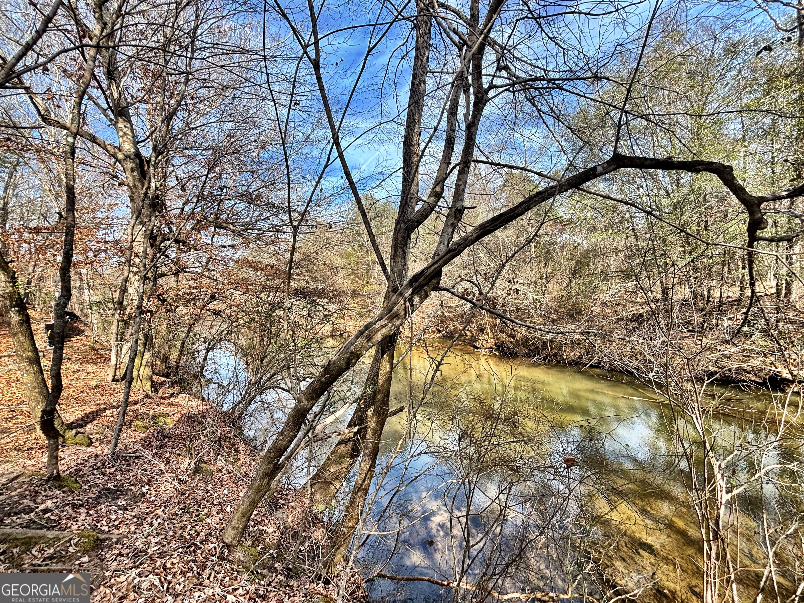 unimproved land for sale at 6411 Columbus Road, Lizella, GA 31052 — photo 7