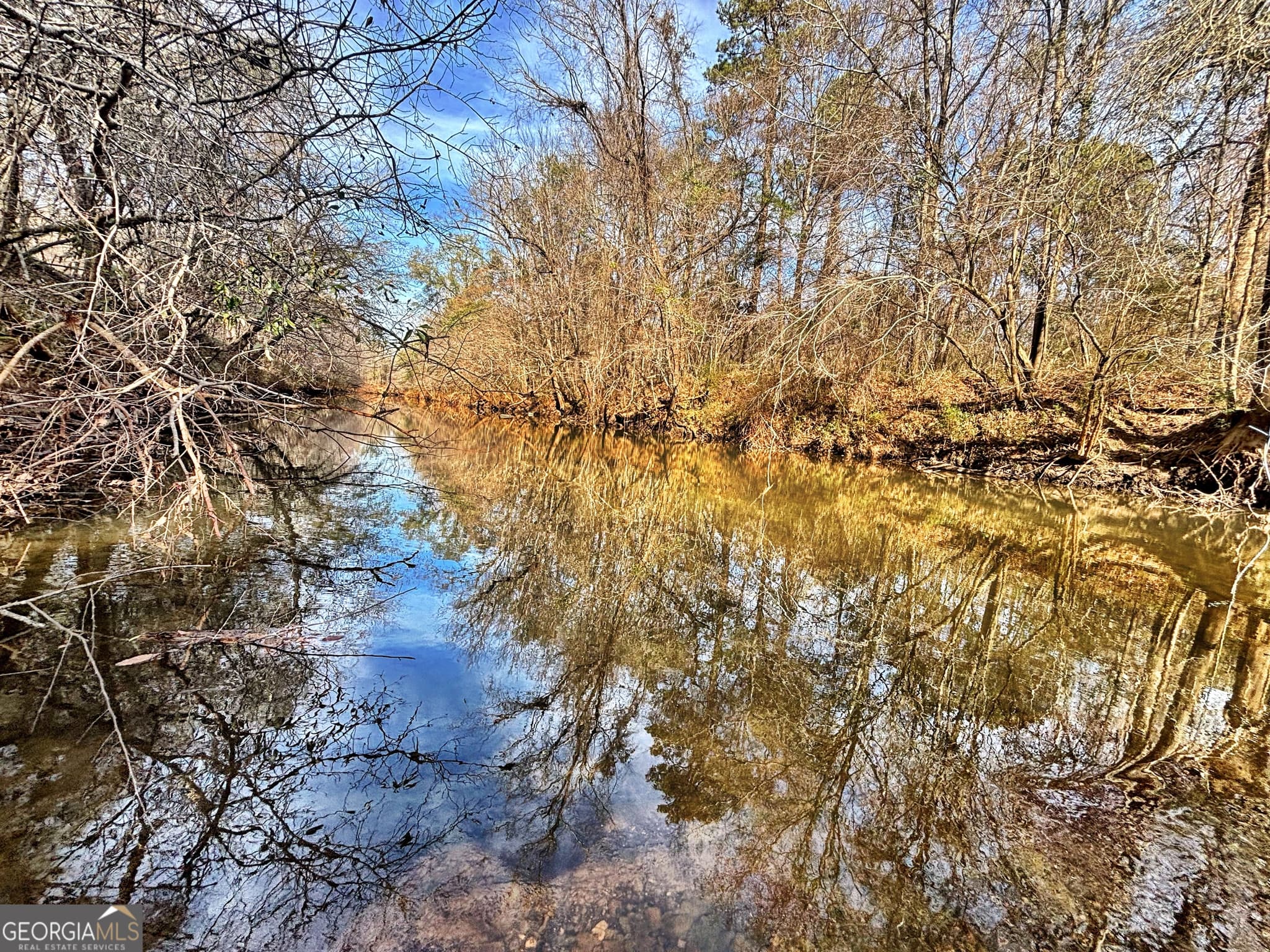 unimproved land for sale at 6411 Columbus Road, Lizella, GA 31052 — photo 5