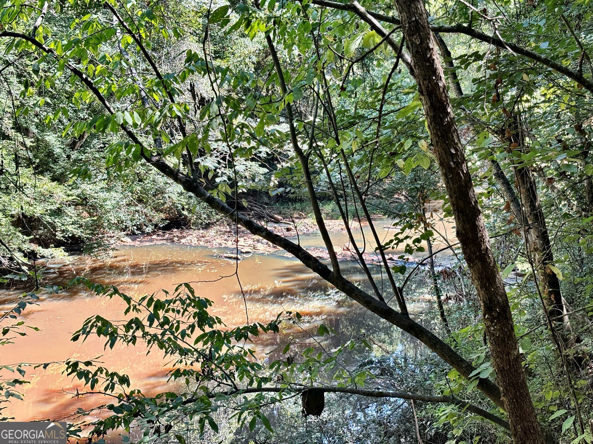unimproved land for sale at 6411 Columbus Road, Lizella, GA 31052 — photo 9
