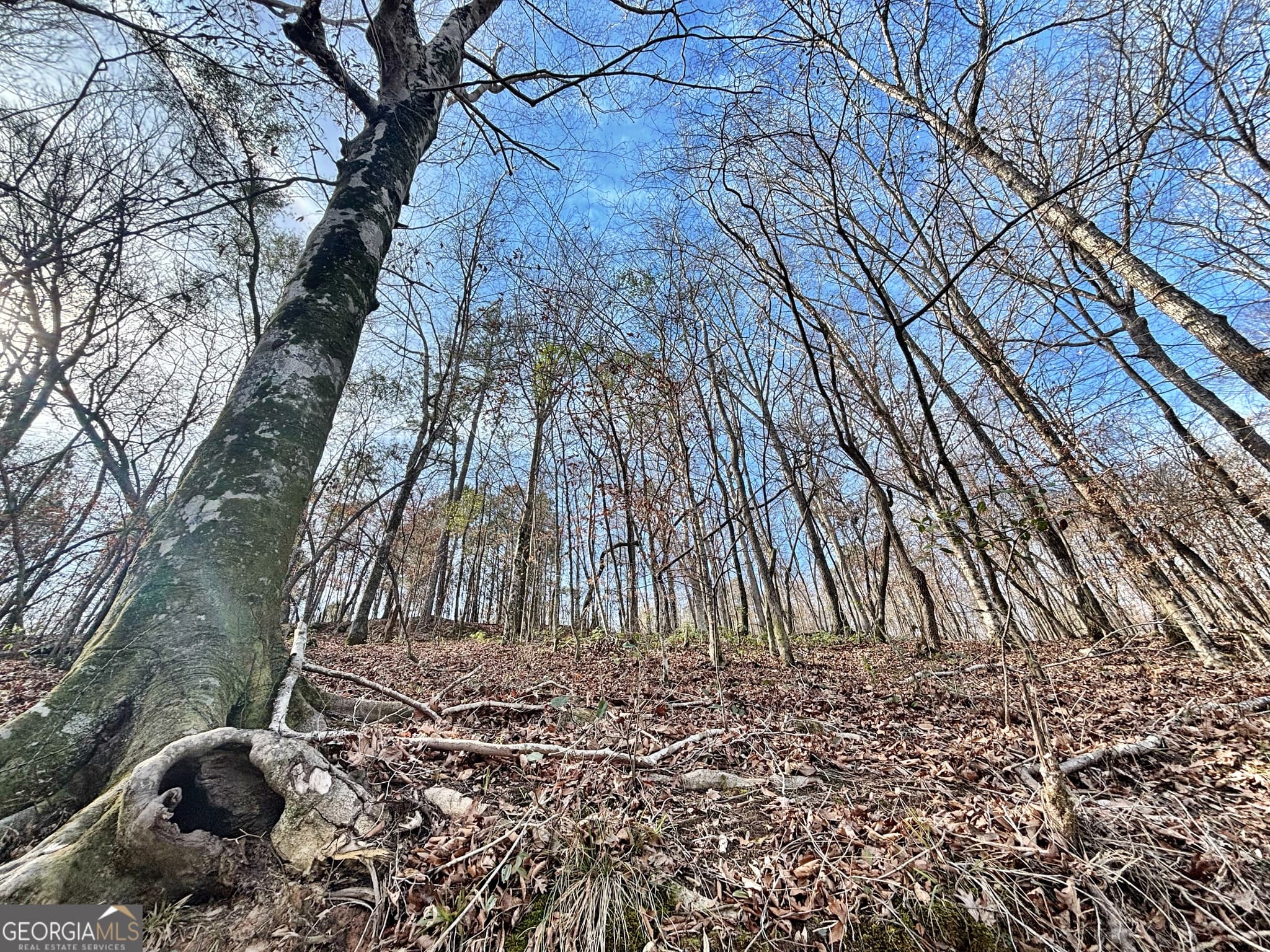 unimproved land for sale at 6411 Columbus Road, Lizella, GA 31052 — photo 10