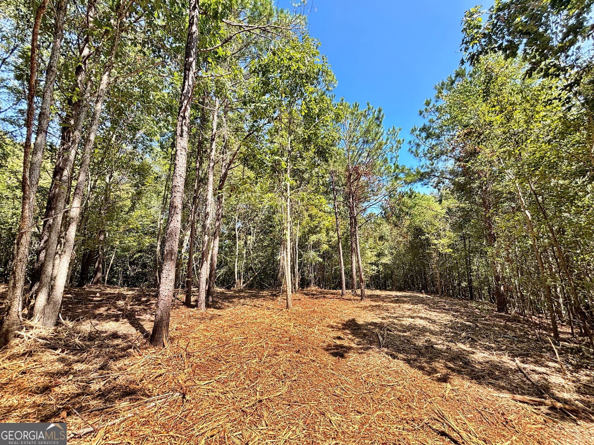 unimproved land for sale at 6411 Columbus Road, Lizella, GA 31052 — photo 8