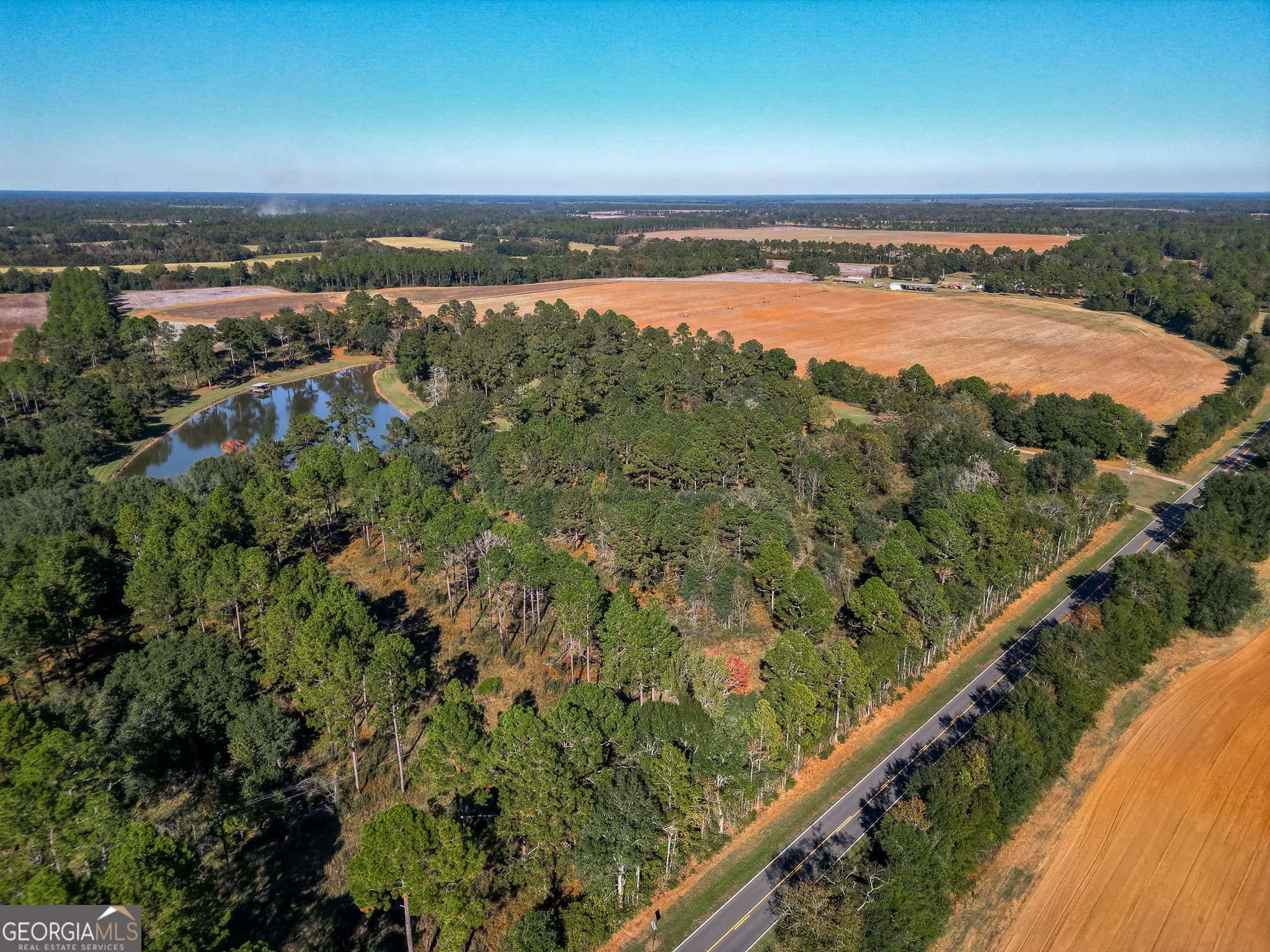 agriculture for sale at 0 New York Road, Leesburg, GA 31763 — photo 2
