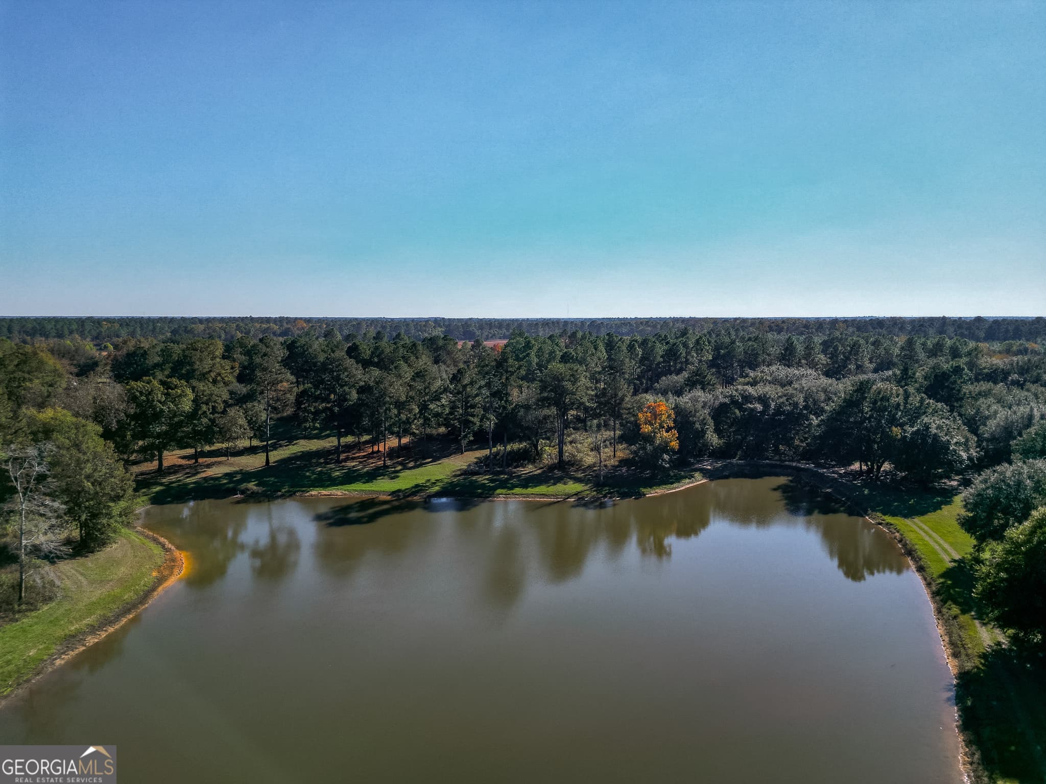 agriculture for sale at 0 New York Road, Leesburg, GA 31763 — photo 6