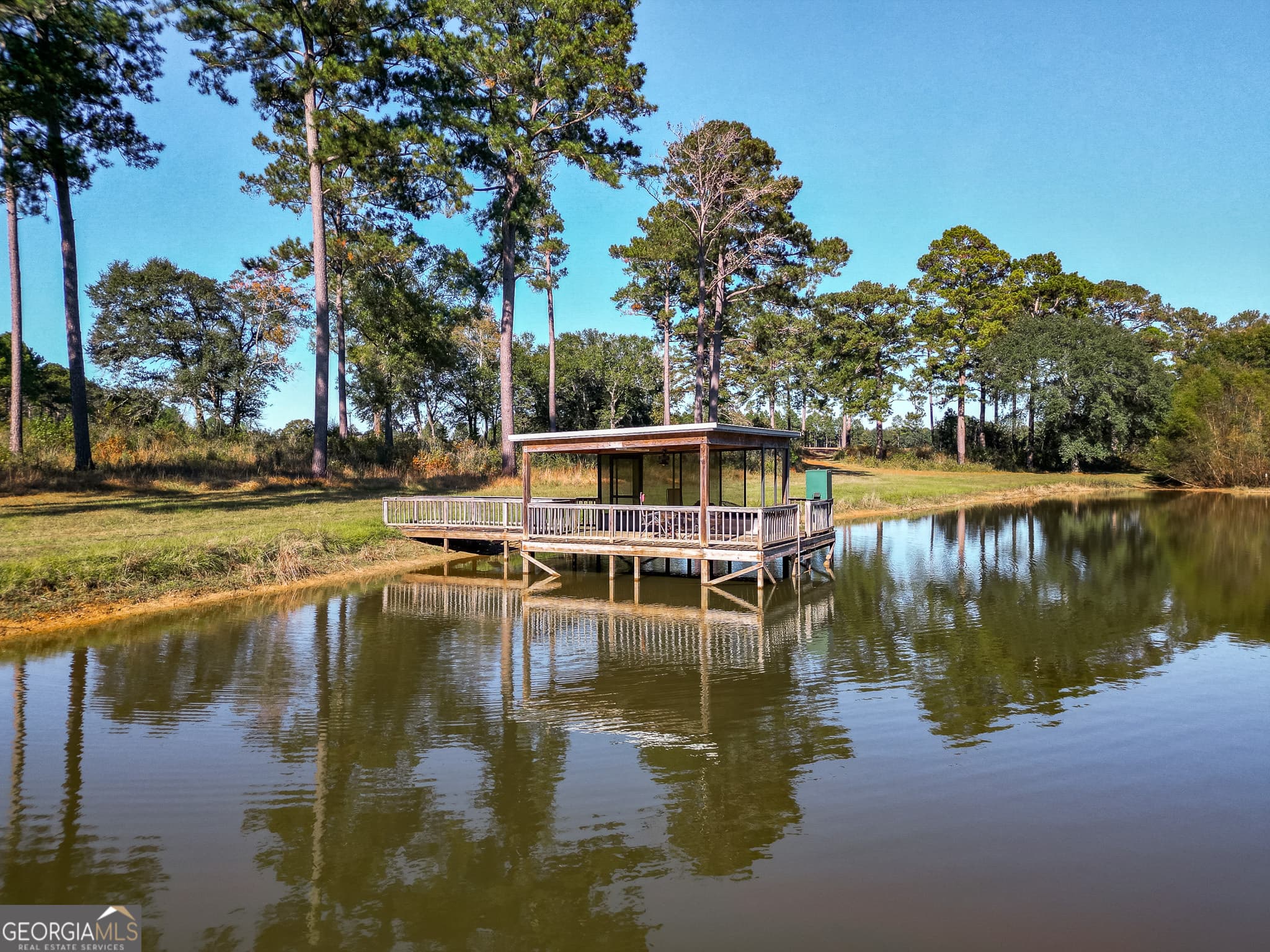 agriculture for sale at 0 New York Road, Leesburg, GA 31763 — photo 7