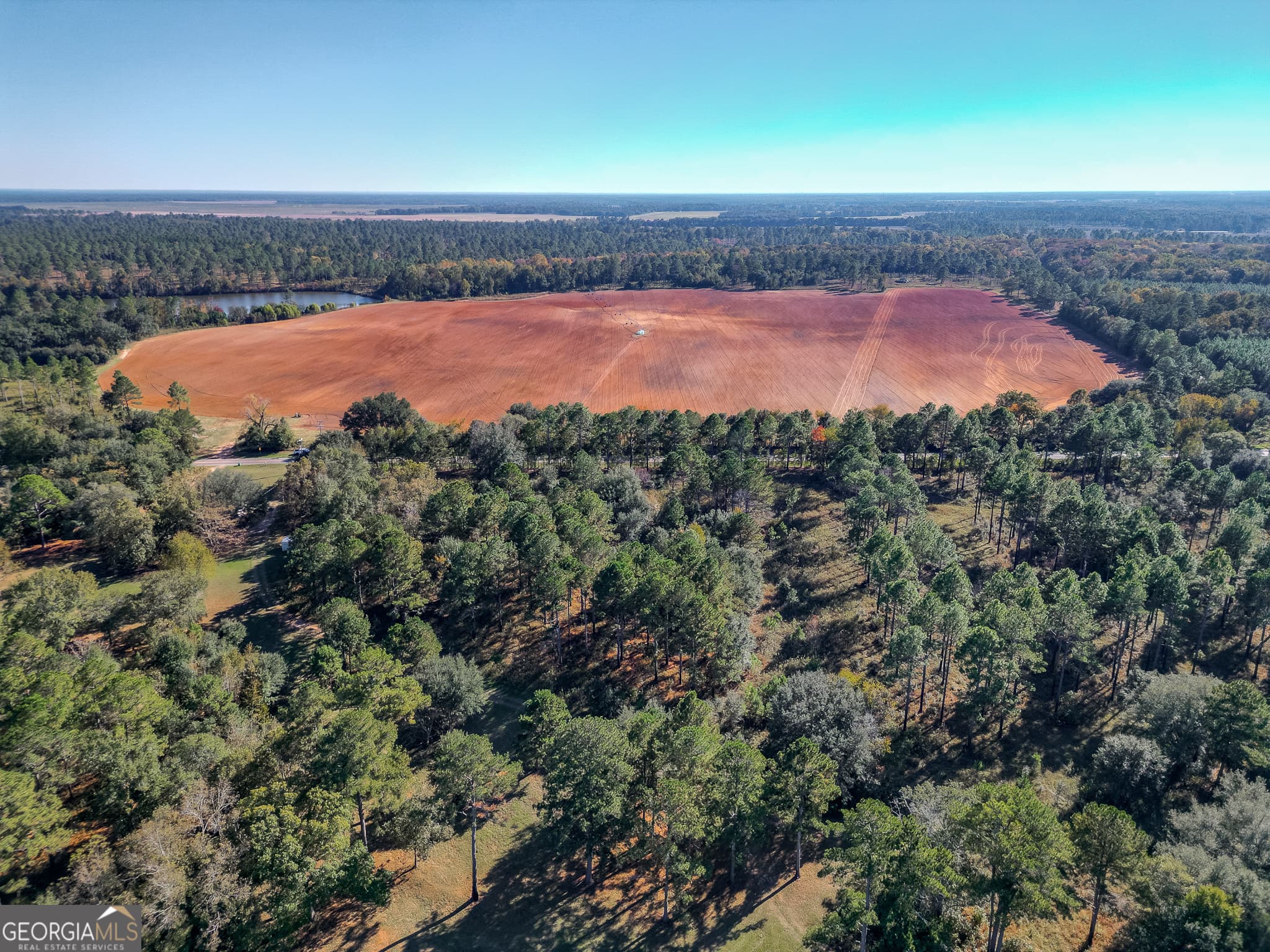 agriculture for sale at 0 New York Road, Leesburg, GA 31763 — photo 5