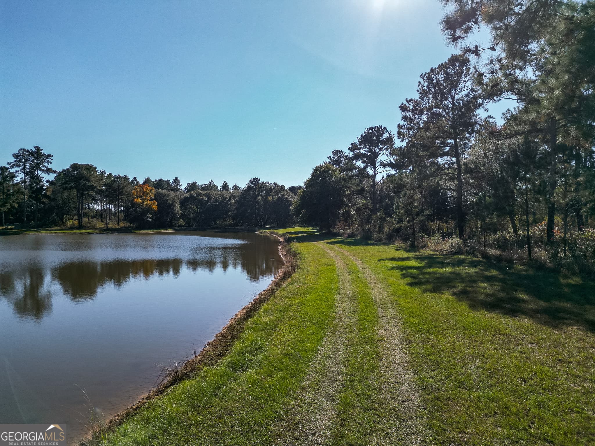 agriculture for sale at 0 New York Road, Leesburg, GA 31763 — photo 9