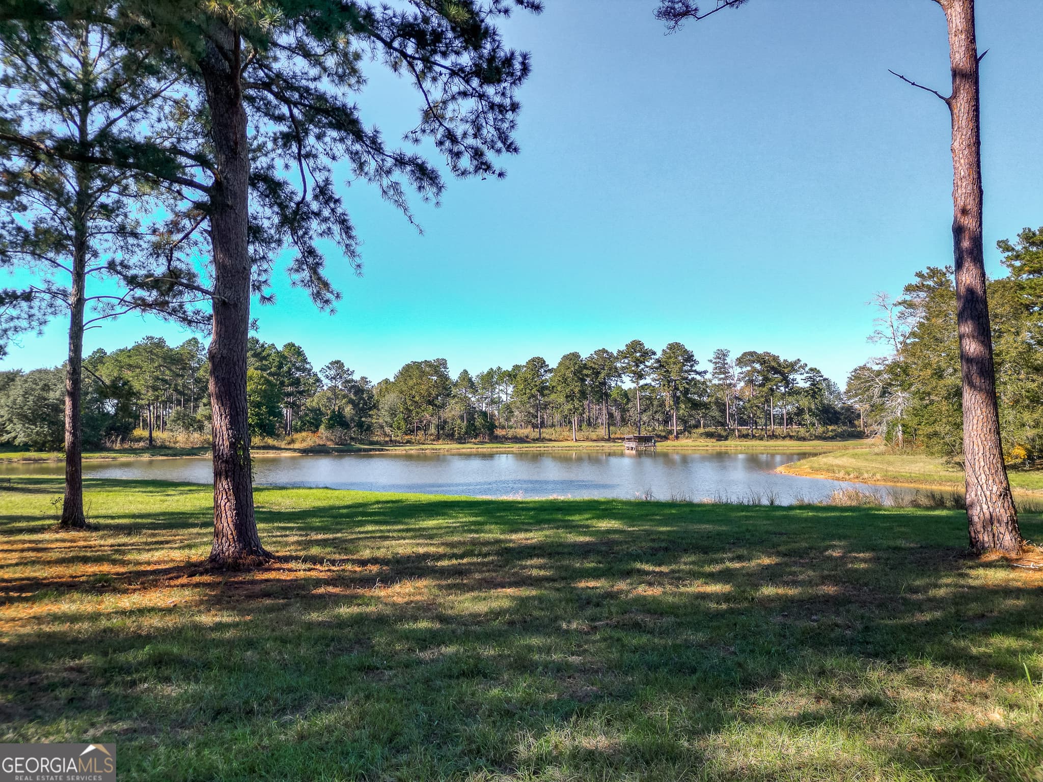 agriculture for sale at 0 New York Road, Leesburg, GA 31763 — photo 10