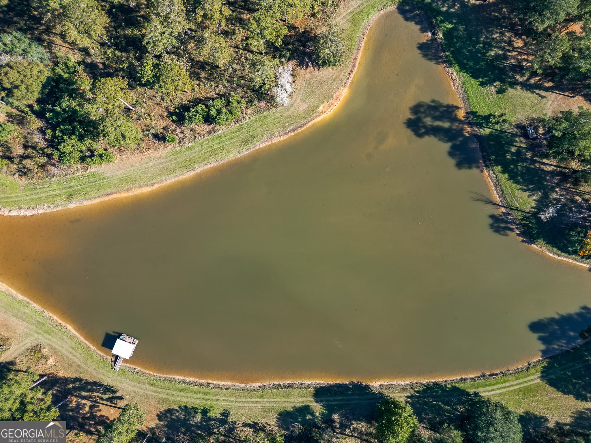 agriculture for sale at 0 New York Road, Leesburg, GA 31763 — photo 4