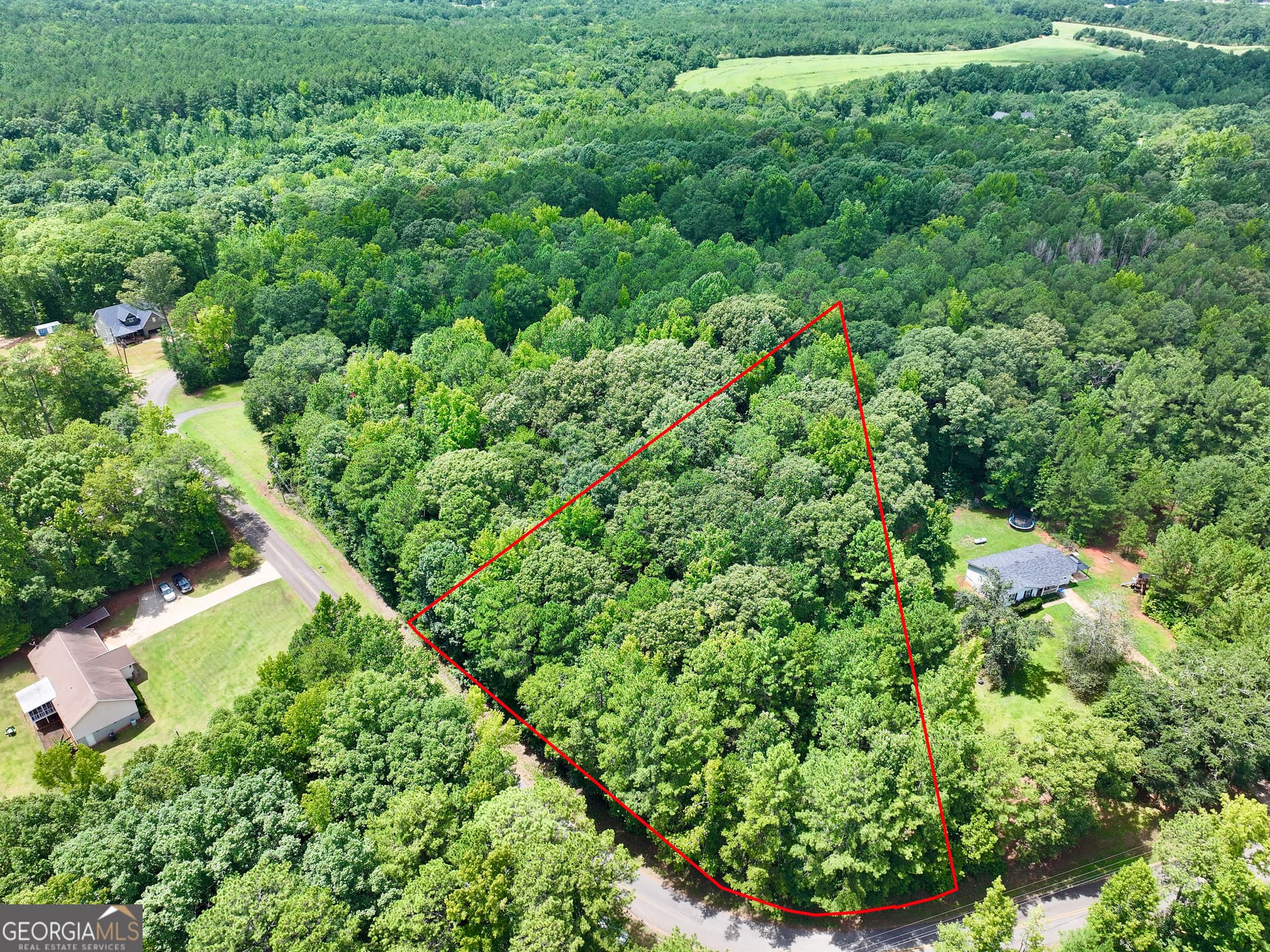 residential lot for sale at 0 Mitchell Road, Forsyth, GA 31029 — photo 2
