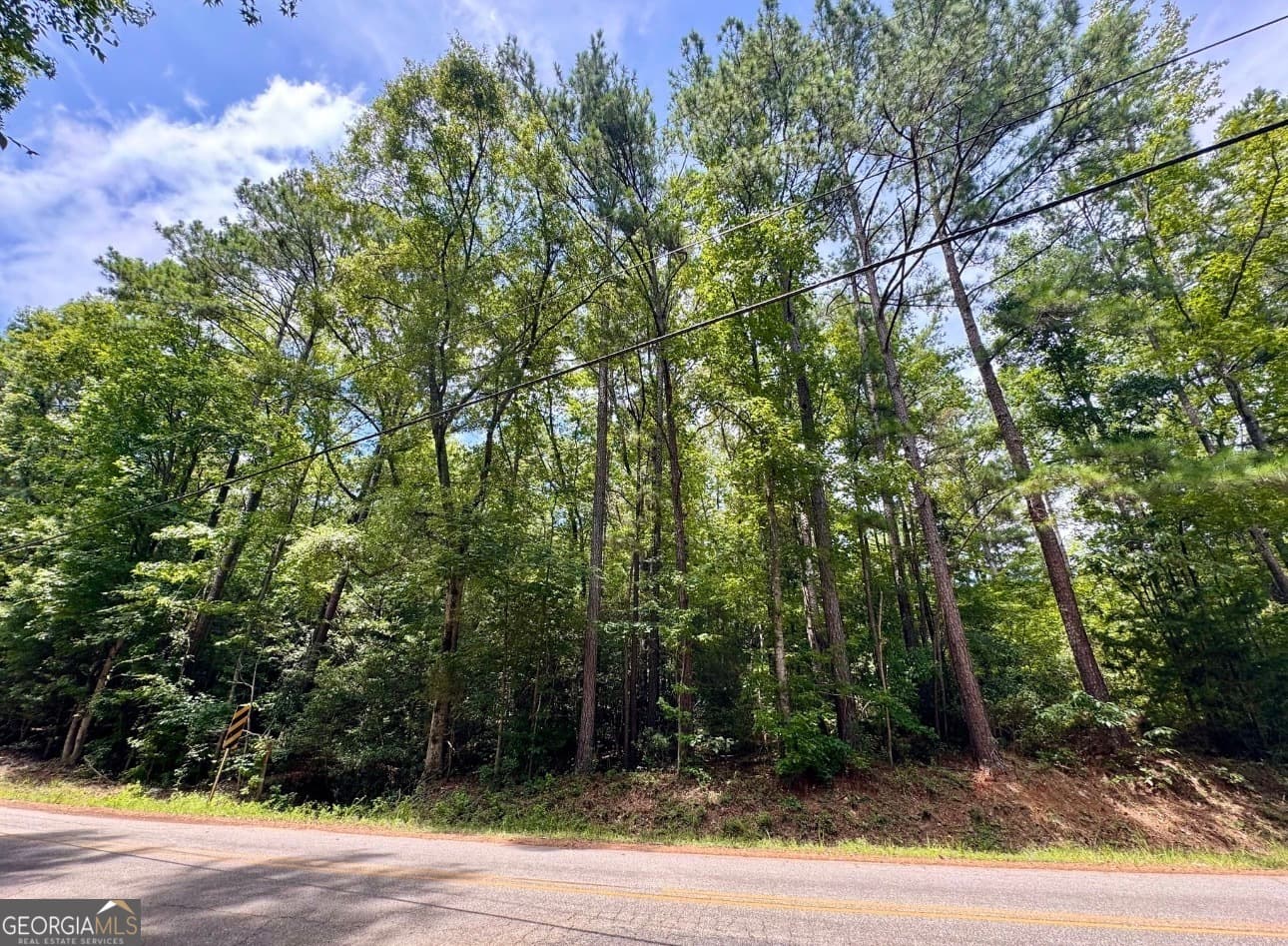 residential lot for sale at 0 Mitchell Road, Forsyth, GA 31029 — photo 7