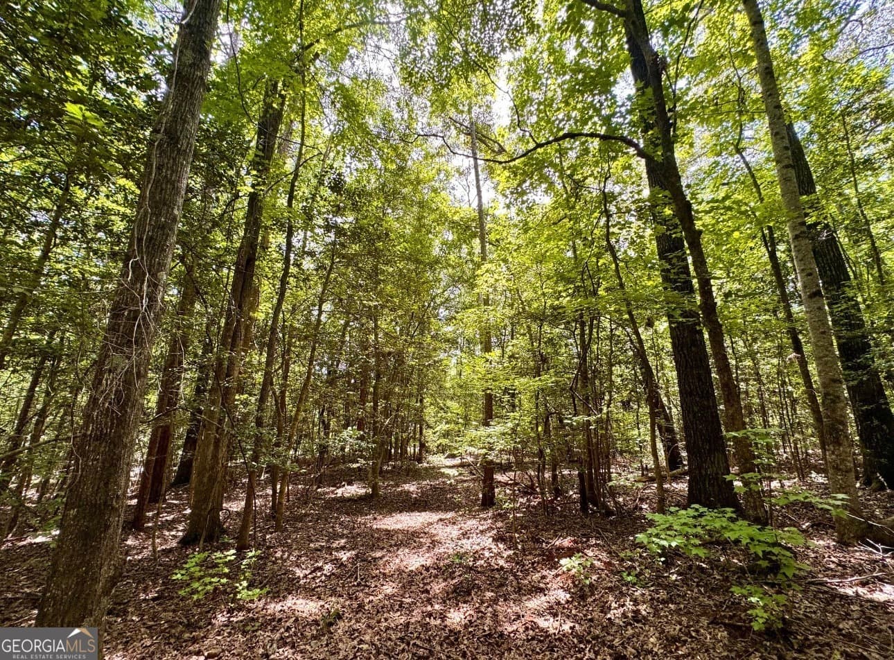 residential lot for sale at 0 Mitchell Road, Forsyth, GA 31029 — photo 9