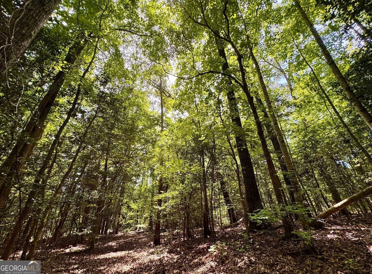 residential lot for sale at 0 Mitchell Road, Forsyth, GA 31029 — photo 10