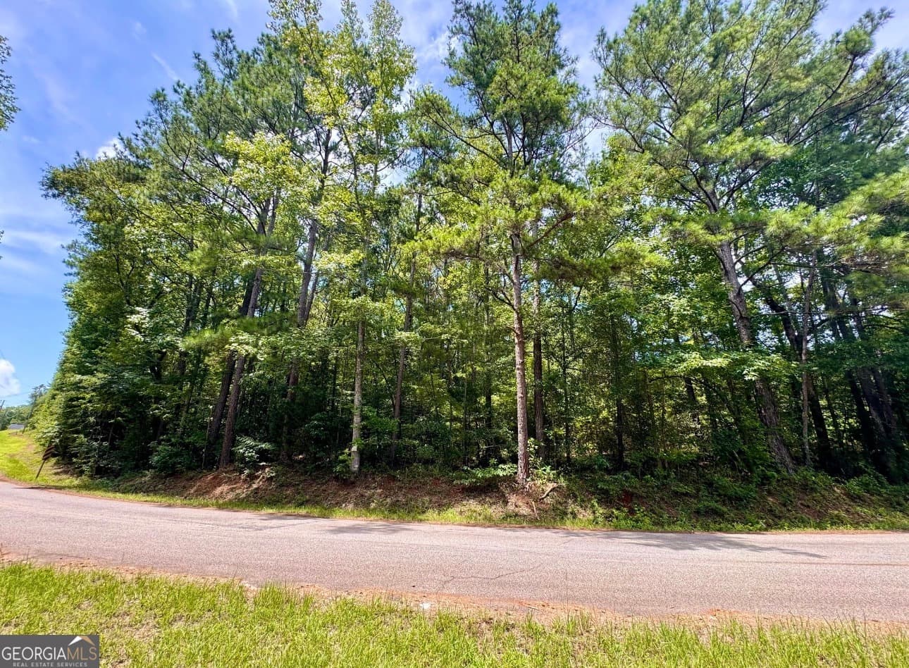 residential lot for sale at 0 Mitchell Road, Forsyth, GA 31029 — photo 8