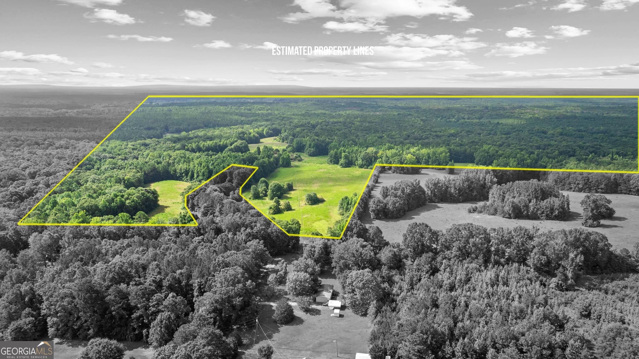 unimproved land for sale at 0 Ray Road, Gay, GA 30218 — photo 6